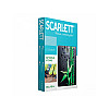 Весы Scarlett SC-BS33E051
